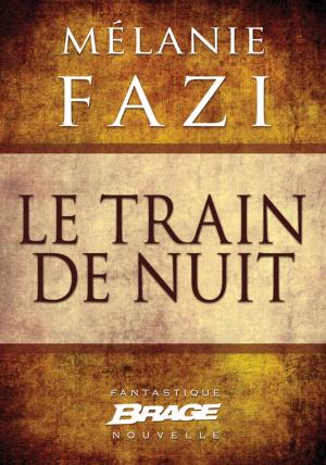 Cover of the book Le Train de nuit by Cyril Carau