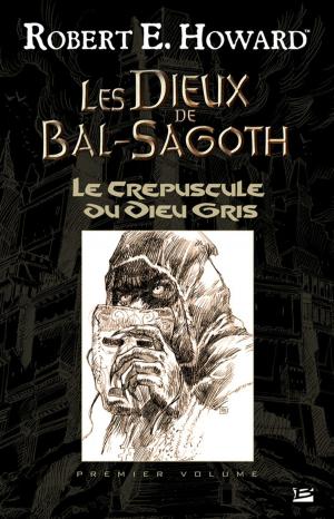 Cover of the book Le Crépuscule du Dieu gris by Amy Raby