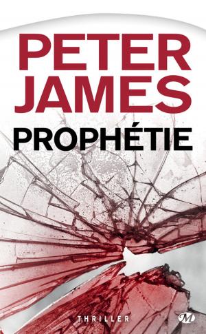 Cover of the book Prophétie by Jacqueline Carey