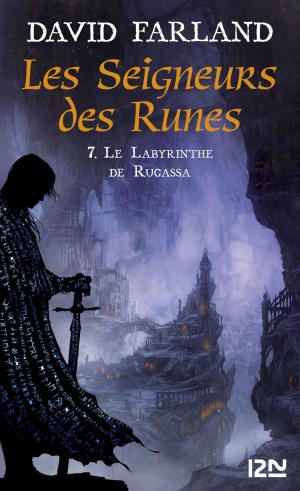 Cover of Les Seigneurs des Runes - Tome 7