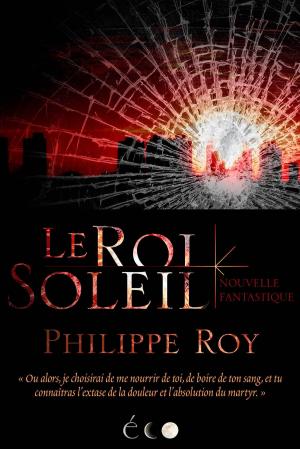 bigCover of the book Le Roi Soleil by 
