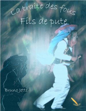 Cover of the book La traite des fous 2: Fils de pute by Bruno Jetté