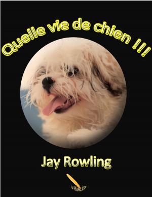 Cover of the book Quelle vie de chien !!! by M.L. Lego