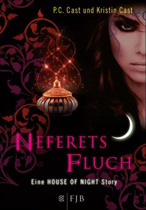 Cover of the book Neferets Fluch by Stephan Ludwig