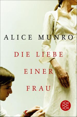 Cover of the book Die Liebe einer Frau by Monika Maron