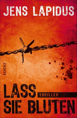 Cover of the book Lass sie bluten by Rainer Merkel
