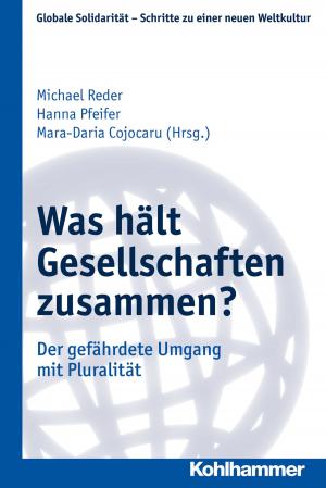 Cover of the book Was hält Gesellschaften zusammen? by Stephan Ellinger