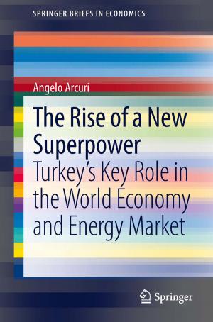 Cover of the book The Rise of a New Superpower by Michael Beenstock, Daniel Felsenstein