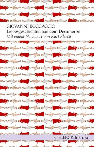 Cover of the book Liebesgeschichten aus dem Decameron by Michael Lüders