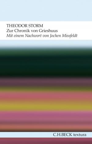 Book cover of Zur Chronik von Grieshuus