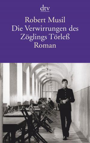Cover of the book Die Verwirrungen des Zöglings Törleß by Katharina Münk