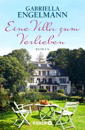 Cover of the book Eine Villa zum Verlieben by Marina Boos