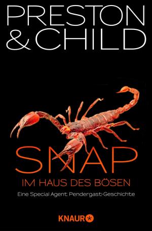 Book cover of Snap - Im Haus des Bösen