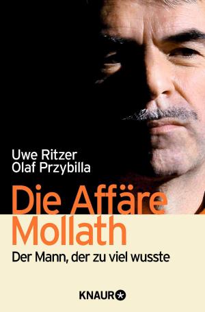 Cover of the book Die Affäre Mollath by Beate Rygiert