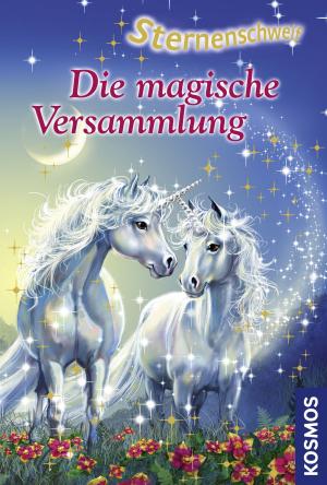Cover of the book Sternenschweif, 17, Die magische Versammlung by Linda Chapman