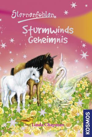 bigCover of the book Sternenfohlen, 8, Sturmwinds Geheimnis by 