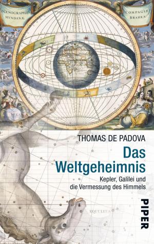 Cover of the book Das Weltgeheimnis by François Lelord