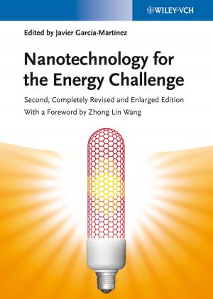 Cover of the book Nanotechnology for the Energy Challenge by Yuliya Mishura, Georgiy Shevchenko