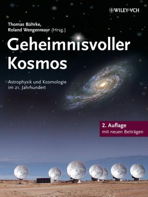 Cover of the book Geheimnisvoller Kosmos by Terry L. Paulson Ph.D.