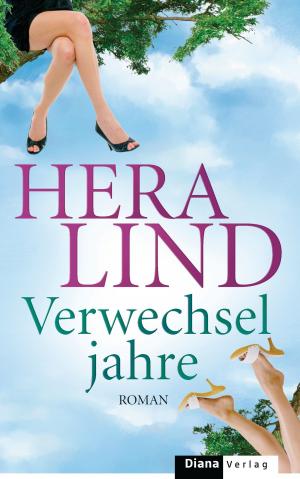Cover of the book Verwechseljahre by Brigitte Riebe