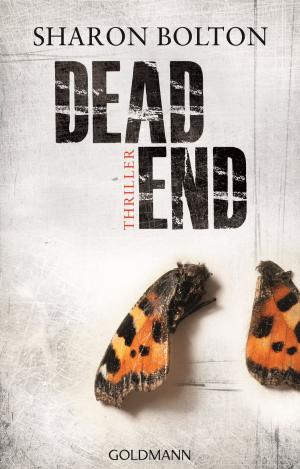 Cover of Dead End - Lacey Flint 2