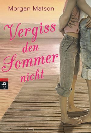 Book cover of Vergiss den Sommer nicht