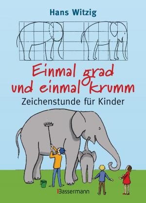 Cover of the book Einmal grad und einmal krumm by Sarah Aßmann