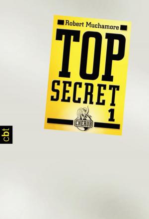 Book cover of Top Secret 1 - Der Agent