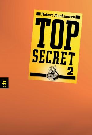 Book cover of Top Secret 2 - Heiße Ware