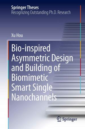 Cover of the book Bio-inspired Asymmetric Design and Building of Biomimetic Smart Single Nanochannels by Günter Ludyk