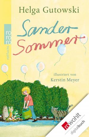 Cover of the book Sandersommer by Markus Osterwalder
