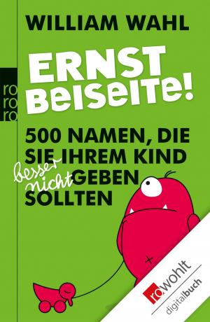 Cover of the book Ernst beiseite! by Jürgen Feder