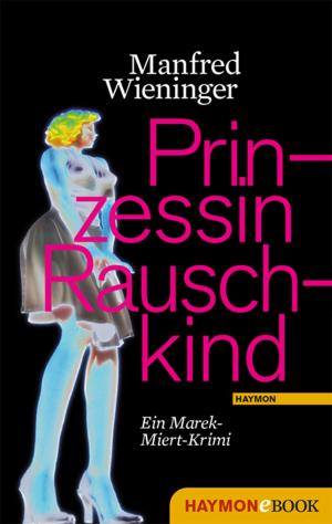 Cover of the book Prinzessin Rauschkind by Wolfgang Hermann