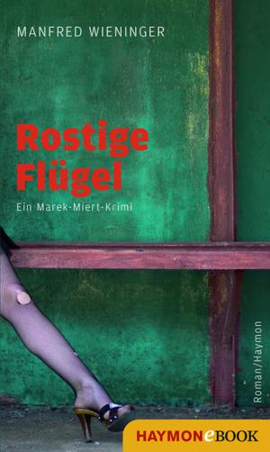 Cover of the book Rostige Flügel by Jürg Amann