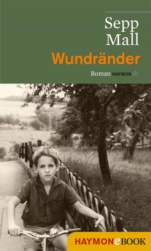 Cover of the book Wundränder by Jürg Amann