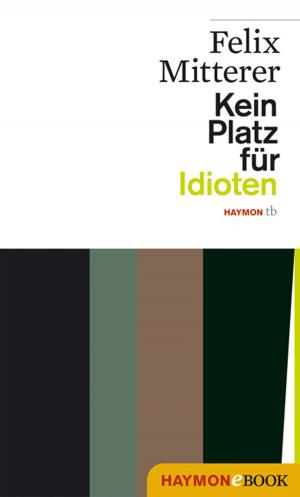 Cover of the book Kein Platz für Idioten by Lulu Wang