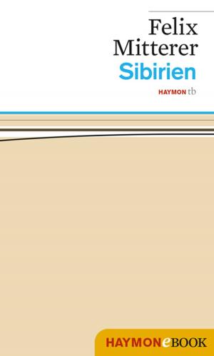 bigCover of the book Sibirien by 