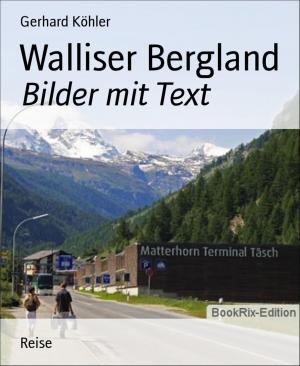 Cover of the book Walliser Bergland by Daniel Isberner