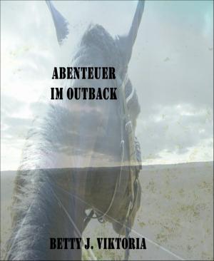 Book cover of Abenteuer im Outback