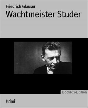 Cover of the book Wachtmeister Studer by Rittik Chandra