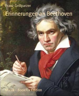 Cover of the book Erinnerungen an Beethoven by Madame Missou