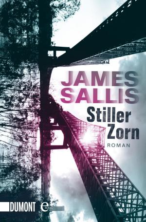 Book cover of Stiller Zorn