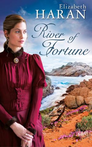 Cover of the book River of Fortune by Geoff Boxell