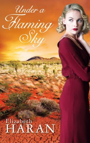 bigCover of the book Under a Flaming Sky by 