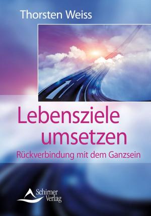 Cover of the book Lebensziele umsetzen by Susanne Hühn