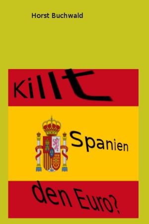 Cover of the book Killt Spanien den Euro? by Liliana Ranold