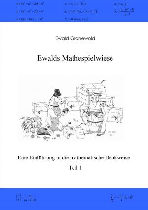 Cover of the book Ewalds Mathespielwiese by fotolulu