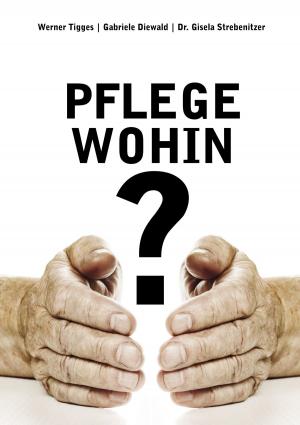 Cover of the book Pflege - wohin? by Sabine Riese, Heiko Klein