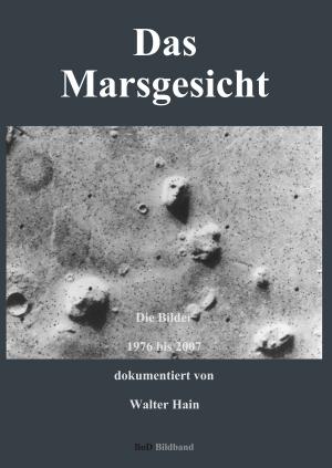 Cover of the book Das Marsgesicht by Manfred Hildebrand