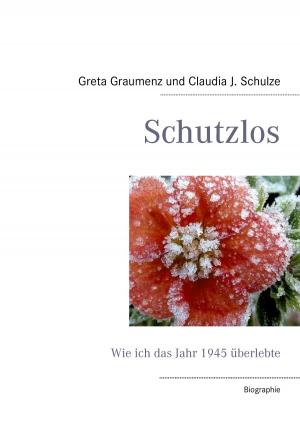 Book cover of Schutzlos